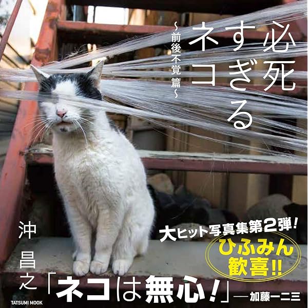Amazon.co.jp: 必死すぎるネコ ~ 一心不乱篇 : 沖 昌之: Japanese Books