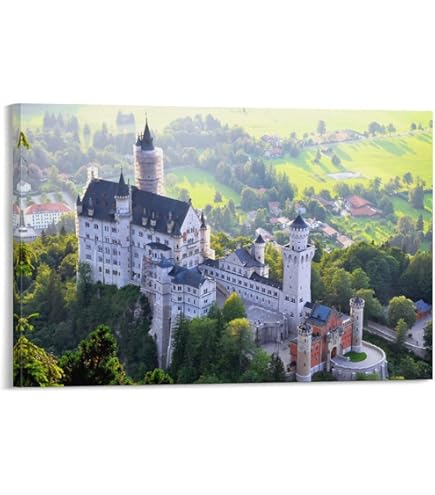 Amazon.co.jp: ノイシュヴァンシュタイン城を見ます 風景の写真