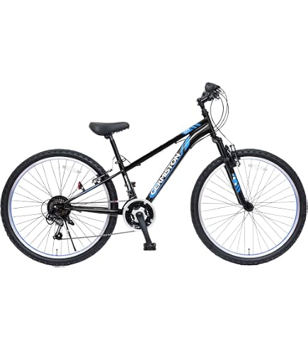 Amazon | ブリヂストン 男の子 子供 自転車 シュライン ブリジストン