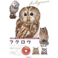 ふくろうページ‼️ ペーパークラフト シロフクロウ MAKE BUG 紙製 立体 パズル