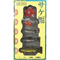 Amazon.co.jp: ザ・アクセス フィギュア サケ LIFE CYCLE 動物 水族館
