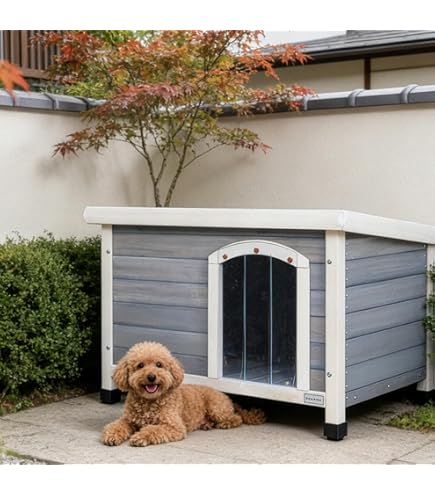 Amazon | 大型犬小屋 ステンレス製 ドッグハウス DFS-M1 (0.5坪タイプ
