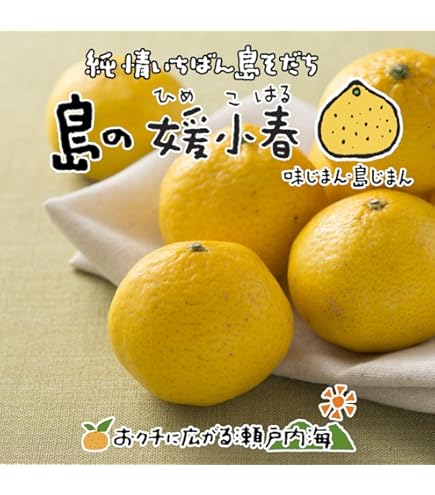 Amazon.co.jp: 希望の島 媛小春 家庭用 サイズ込 愛媛 中島産 みかん