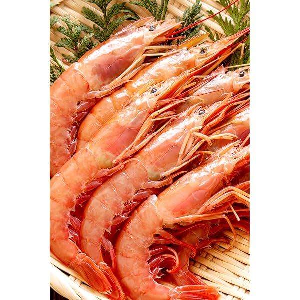 Amazon | 【魚彦】天然アルゼンチン赤エビ L2サイズ 2kg入 業務