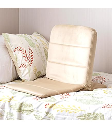 2個セット　いつでもどこでも背もたれ座椅子　LGY色 Amazon｜ドウシシャ いつでもどこでも背もたれ スリム 座椅子 薄型