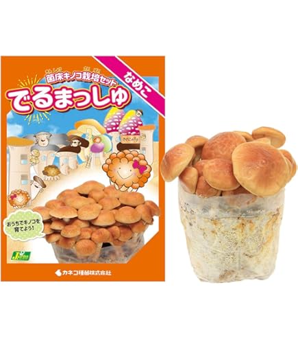 Amazon.co.jp: カネコ種苗 菌床キノコ栽培セット でるまっしゅ