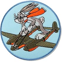 Amazon.co.jp: アメカジミリタリーワッペン【P-38ライトニング