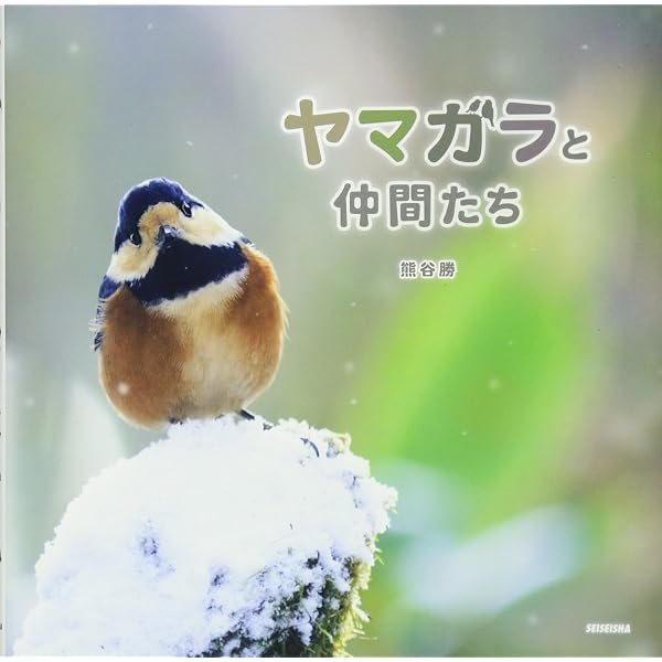 やまがらページ やまがら ちょこちょこ | 山田 芳文 |本 | 通販 | Amazon