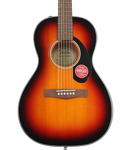 Amazon | Fender エレキアコースティックギター Tim Armstrong Hellcat