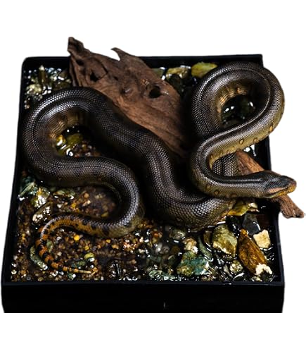 Amazon.co.jp: 動物惑星 マツカサトカゲ 14CM 樹脂 フィギュア 台座