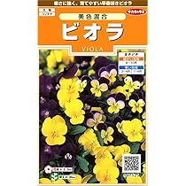 世界に夢をまく「サカタのタネ」 Amazon | サカタのタネ 実咲花7525 ビオラ 美色混合 00907525 | 花