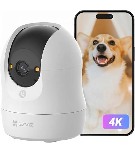 Amazon.co.jp: パナソニック WV-S1110V 屋内HDボックスネットワーク
