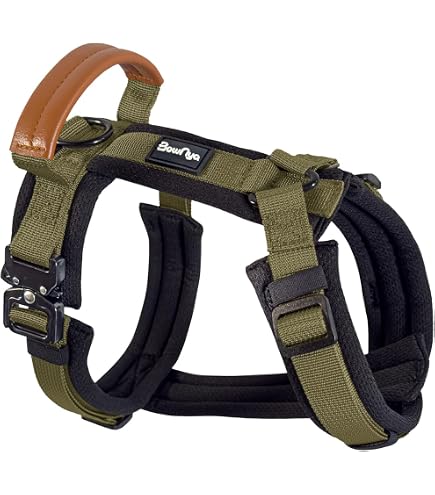 Amazon | バディーベルト BBスポーツハーネス 2.5号ピンクカモ 小型犬