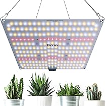 71scZtEpbxL._AC_UL210_SR210,