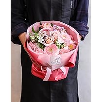 71seqdo3W4L._AC_UL210_SR210,