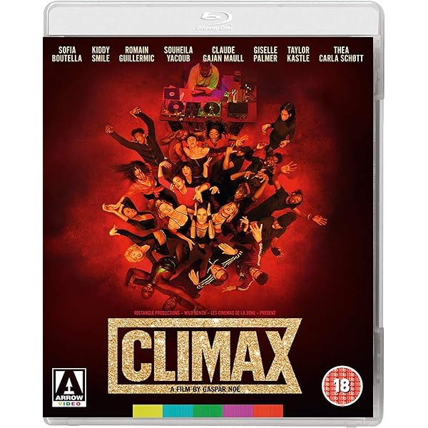Irreversible (Standard Edition) [Blu-ray] : Amazon.com.au