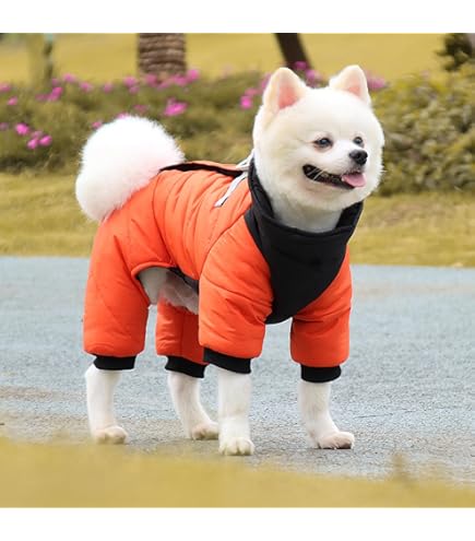 Amazon | Canada Pooch 犬用スノースーツ サーマル犬用スノー