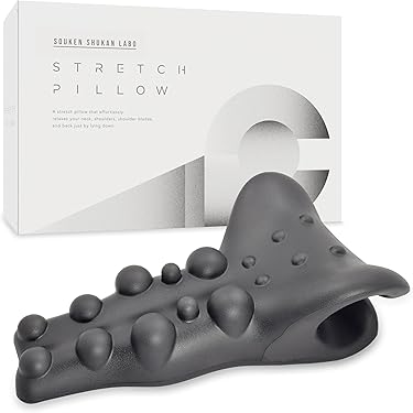 Amazon.co.jp 最新リリース: ネックピロー の新着ランキングです。