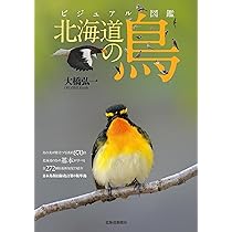 ビジュアル図鑑 北海道の鳥 | 大橋 弘一 |本 | 通販 | Amazon