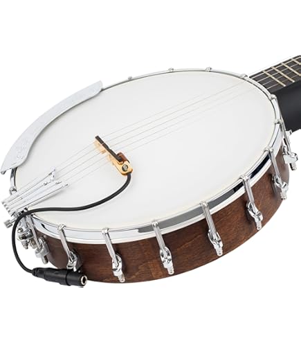 Amazon.co.jp: FISHMAN Bluegrass Classic Series Banjo Pickup REPBAN