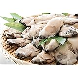 母の日 ギフト 港ダイニングしおそう 広島県産 牡蠣 剥き身 2Lサイズ 1kg（解凍後850g/大粒2L約26～35粒） 貝 カキ かき むき身 大粒 広島かき 冷凍牡蠣 広島カキ 冷凍 広島牡蠣 グルメ お取り寄せ プレゼント