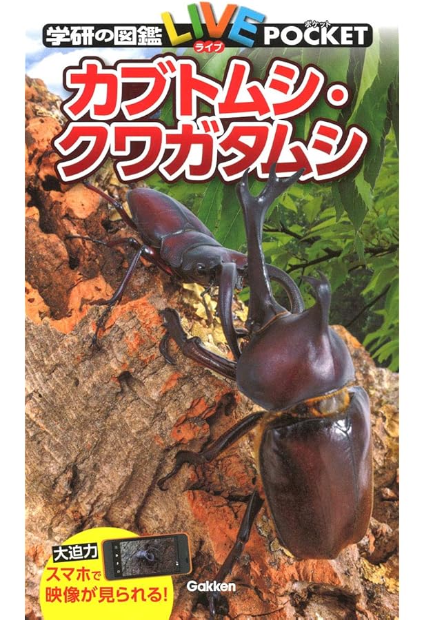Amazon.co.jp: カブトムシ・クワガタムシ ポケット大図鑑 : 岡村 茂: 本