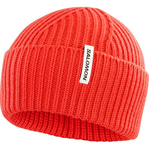 Amazon | [サロモン] ニット帽 メンズ GRAPHIC BEANIE グラフィック