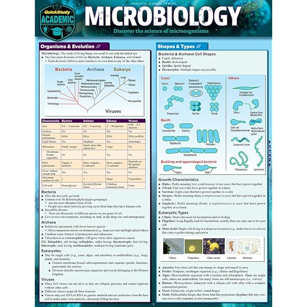 Amazon.co.jp: Biology (Quick Study Academic) : 本