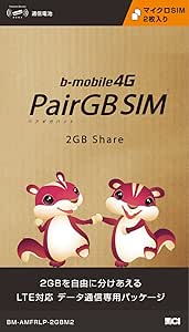 日本通信 bモバイル4G 高速定額2GBペアー・ギガバイトSIMパッケージ [マイクロSIM 2枚入り] BM-AMFRLP-2GBM2