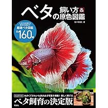 豪華 ベタ 写真集 「Betta 2020」熱帯魚 ベタ 2020 Betta2020 魚 本