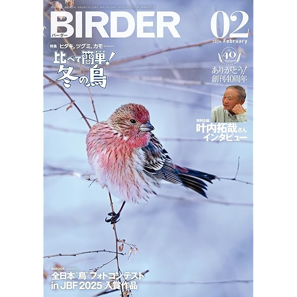 BIRDER (バーダー) 2023年 12月号 [雑誌] | BIRDER編集部 | 趣味