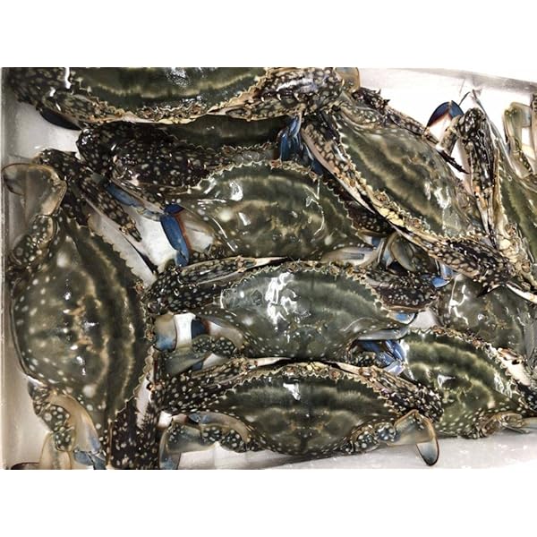 Amazon.co.jp: 北海道産 ワタリガニ 内子入りメス 3杯 : 食品・飲料・お酒 