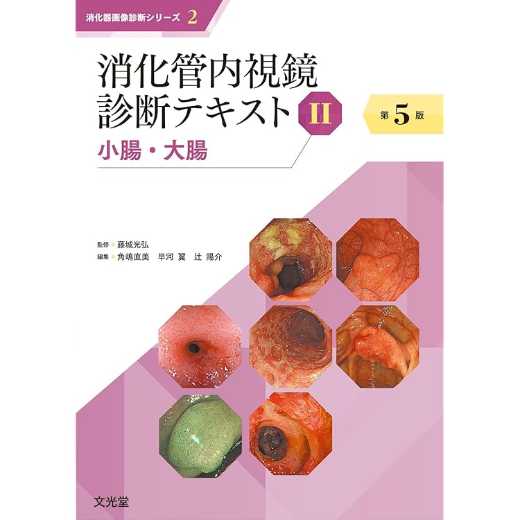 消化管内視鏡診断テキスト I 食道・胃・十二指腸 第5版 (消化器画像