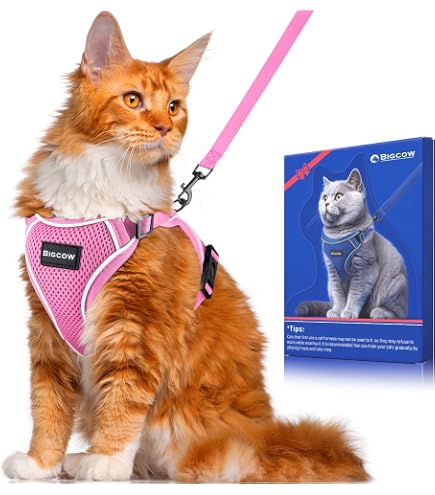 Amazon | Bigcow 猫 猫用 ハーネスリード セット 猫牽引ロープ リード