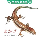 とかげ (かがくのとも2026年5月号)