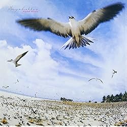 Amazon.co.jp: 虹伝説BOX-40th Anniversary Deluxe Edition - (生産