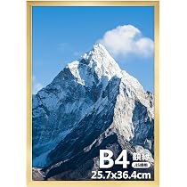 Amazon.co.jp: Giftgarden 額縁 b4 ゴールド 257x364mm ポスター
