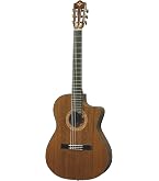 Amazon.co.jp: ヤマハ YAMAHA エレガットギター NTX700 幅広い音楽