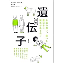 71tAiQ6YKZL._AC_UL210_SR210,