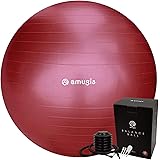 amugis バランスボール ヨガボール /55cm 65cm アンチバースト 耐荷重500KG 椅子 腰痛予防 ダイエット フットポンプ付き