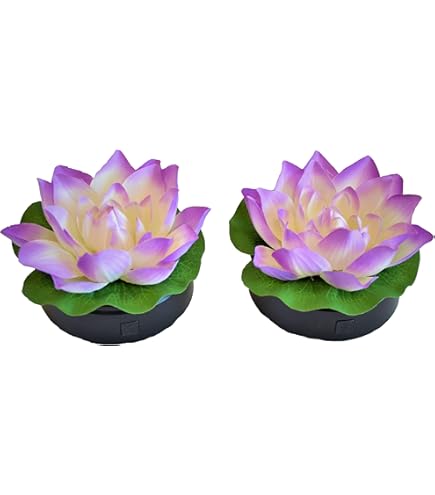 [入手困難] 蓮の花紙 蓮紙 蓮ワーク 8色、計24束 Amazon.co.jp: 入手困難 蓮の花紙 蓮紙 蓮ワーク 8色、計24束 : ホーム