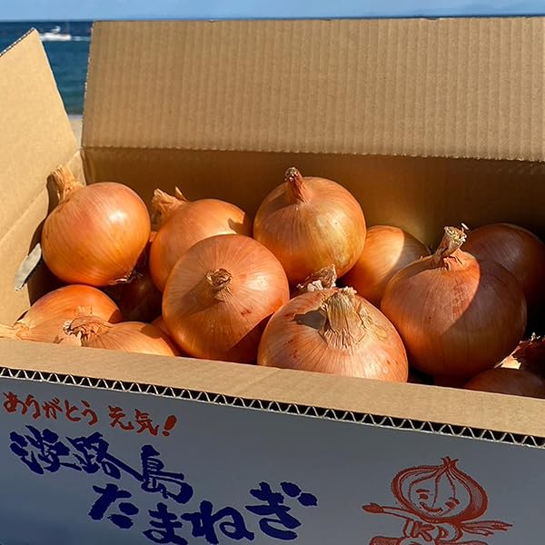 Amazon.co.jp: えびねの多菜生活 玉ねぎ 又は新たまねぎ 大玉 新