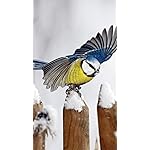 鳥 フルHD(1080×1920)スマホ壁紙/待受 Birds in our Garden 2023: Kalender 鳥 フルHD(1080×1920)スマホ壁紙/待受 Birds in our Garden 2023: Kalender