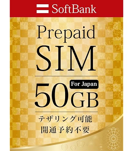 Amazon.co.jp: softbank 100GB prepaid DATA通信 SIM (6ケ月プラン 