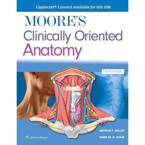 Amazon | Netter Atlas of Human Anatomy: Classic Regional Approach