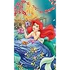 リトル・マーメイド ディズニー - リトル・マーメイド FVGA(480×800)壁紙 64834