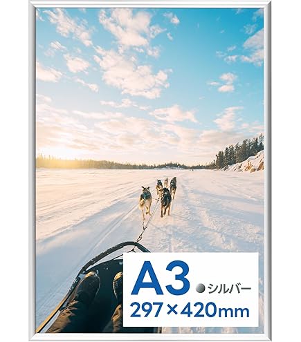 Amazon.co.jp: ミルトン・グレイザー ボブ・ディラン アートポスター