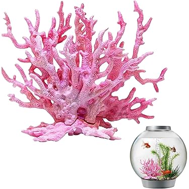 Amazon.co.jp 売れ筋ランキング: 水槽用サンゴ の中で最も人気の
