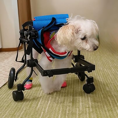 Amazon.co.jp: MIKEART 犬用車椅子 4輪 歩行器 車いす 車いす 後ろ足