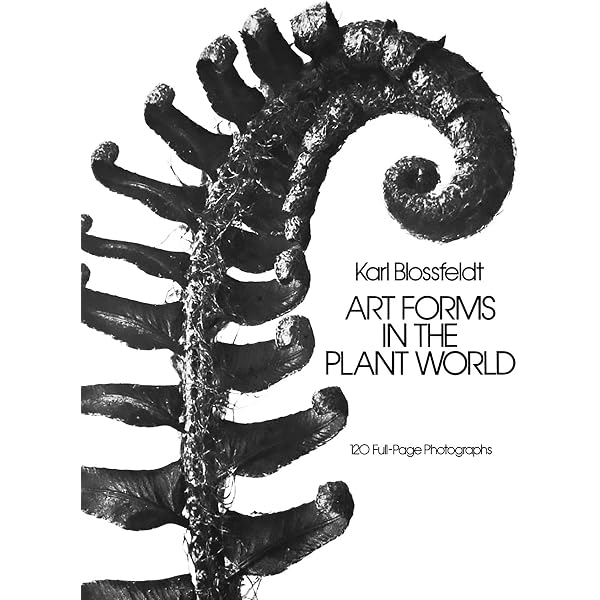 Amazon | Karl Blossfeldt: Working Collages (Mit Press) | Wilde
